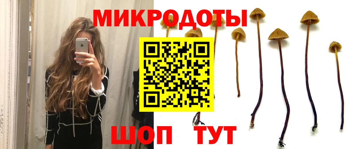 Севастополь  Псилоцибиновые грибы Psilocybine cubensis  Вход с VPN 