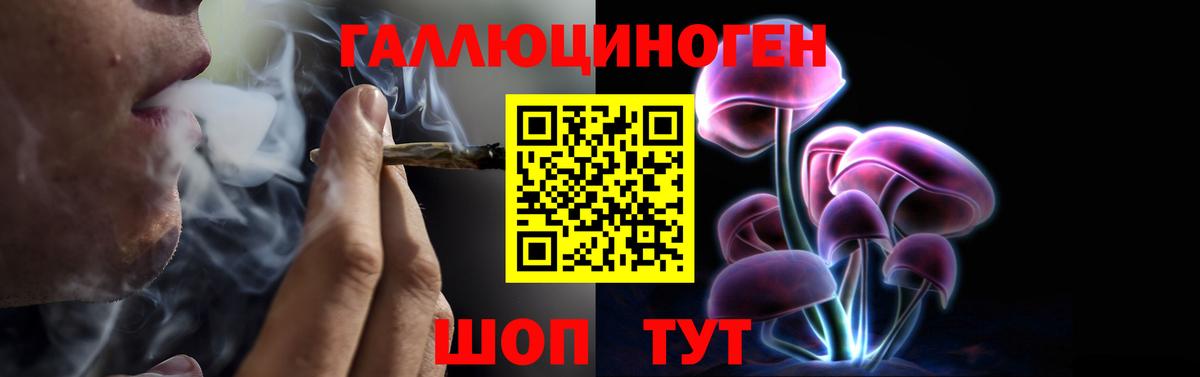 Галлюциногенные грибы GOLDEN TEACHER Севастополь